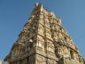 IMG_0108.JPG - 